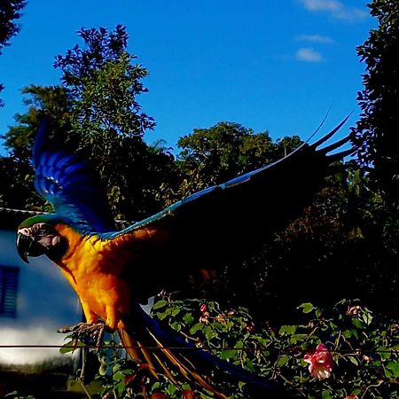 Pousada Canto Dos Passaros Alto Paraiso de Goias Ngoại thất bức ảnh
