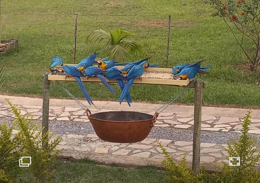 Pousada Canto Dos Passaros Alto Paraiso de Goias Ngoại thất bức ảnh