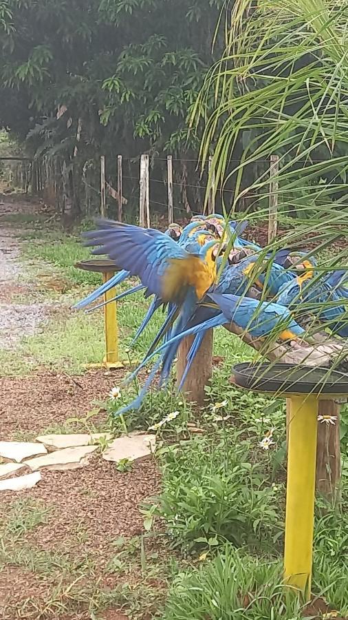 Pousada Canto Dos Passaros Alto Paraiso de Goias Ngoại thất bức ảnh