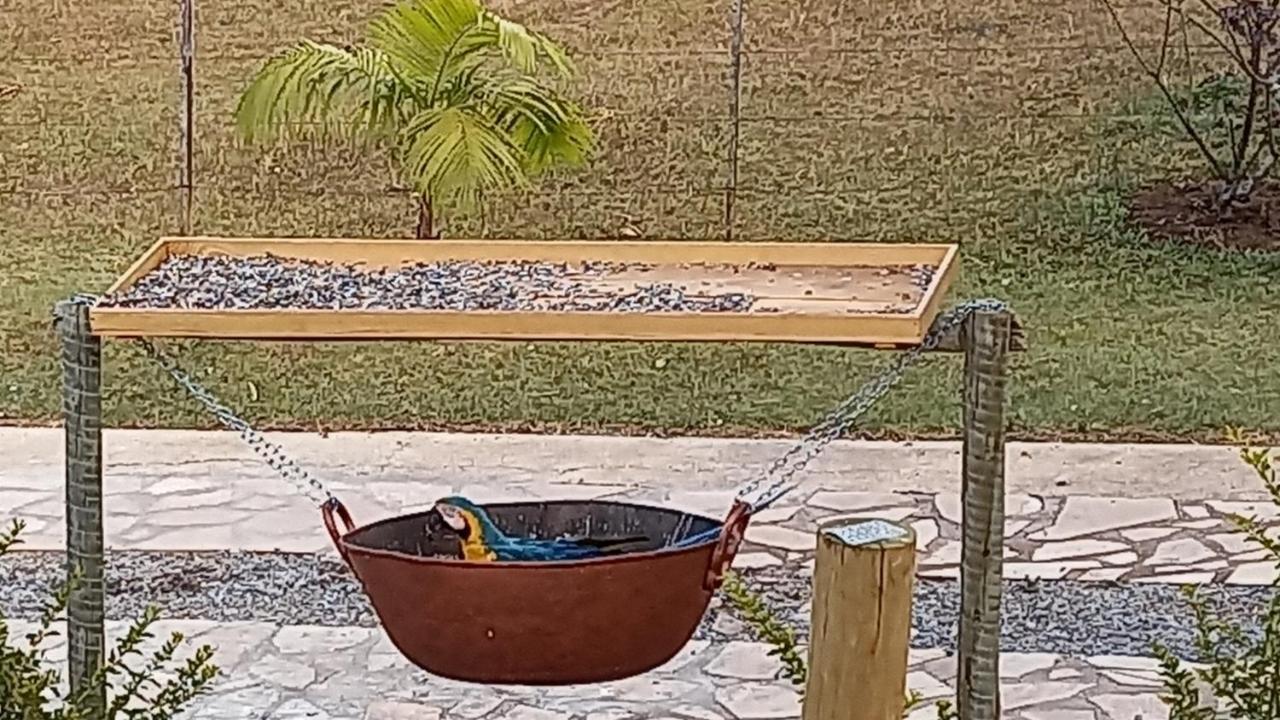 Pousada Canto Dos Passaros Alto Paraiso de Goias Ngoại thất bức ảnh